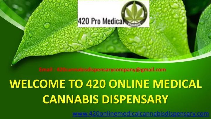 welcome to 420 online medical cannabis dispensary
