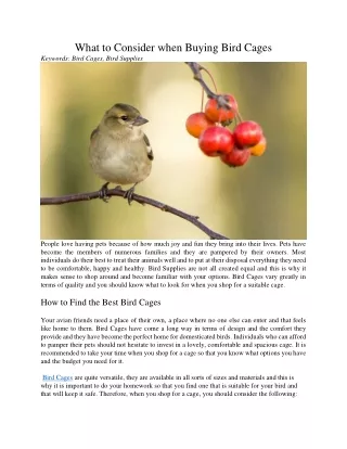 what to consider when buying bird cages keywords