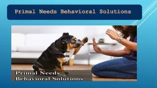 Primal Needs Behavioral Solutions - Dog Training in Mt Shasta