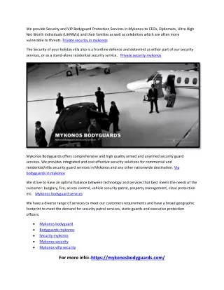 we provide security and vip bodyguard protection