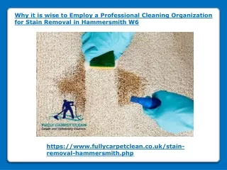 why it is wise to employ a professional cleaning