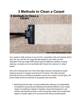 3 Methods to Clean a Carpet