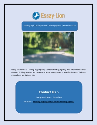 Leading High Quality Content Writing Agency | Essay-lion.com
