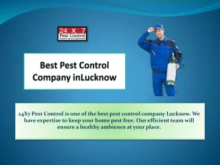 Best Pest Control Company in Lucknow