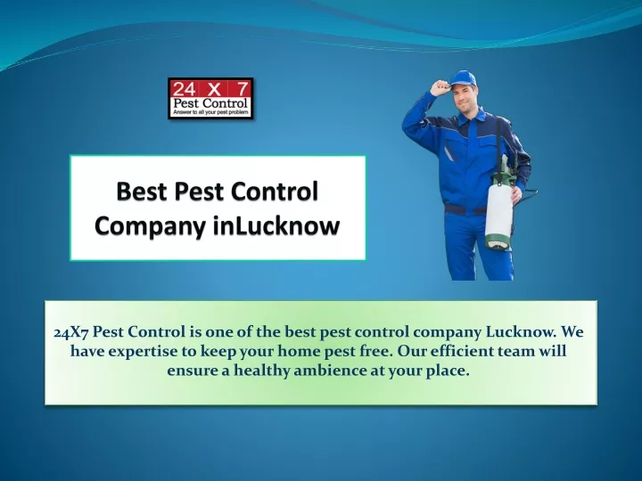 best pest control company inlucknow