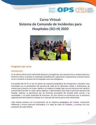 curso virtual