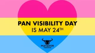 May 24th Is Pan Visibility Day