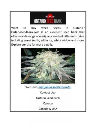 Marijuana Seeds Toronto | Ontarioseedbank.com