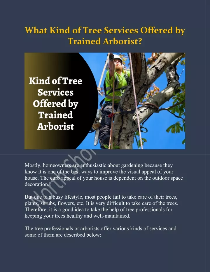 what kind of tree services offered by trained