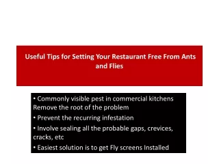 useful tips for setting your restaurant free from ants and flies