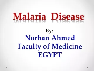 MALARIA DISEASE