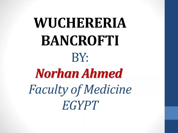 wuchereria bancrofti by norhan ahmed faculty of medicine egypt