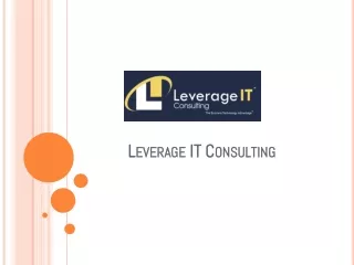 leverage it consulting