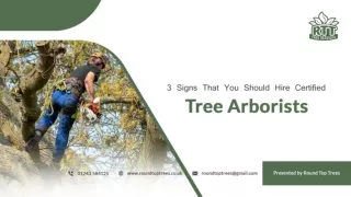 3 Signs That You Should Hire Certified Tree Arborists