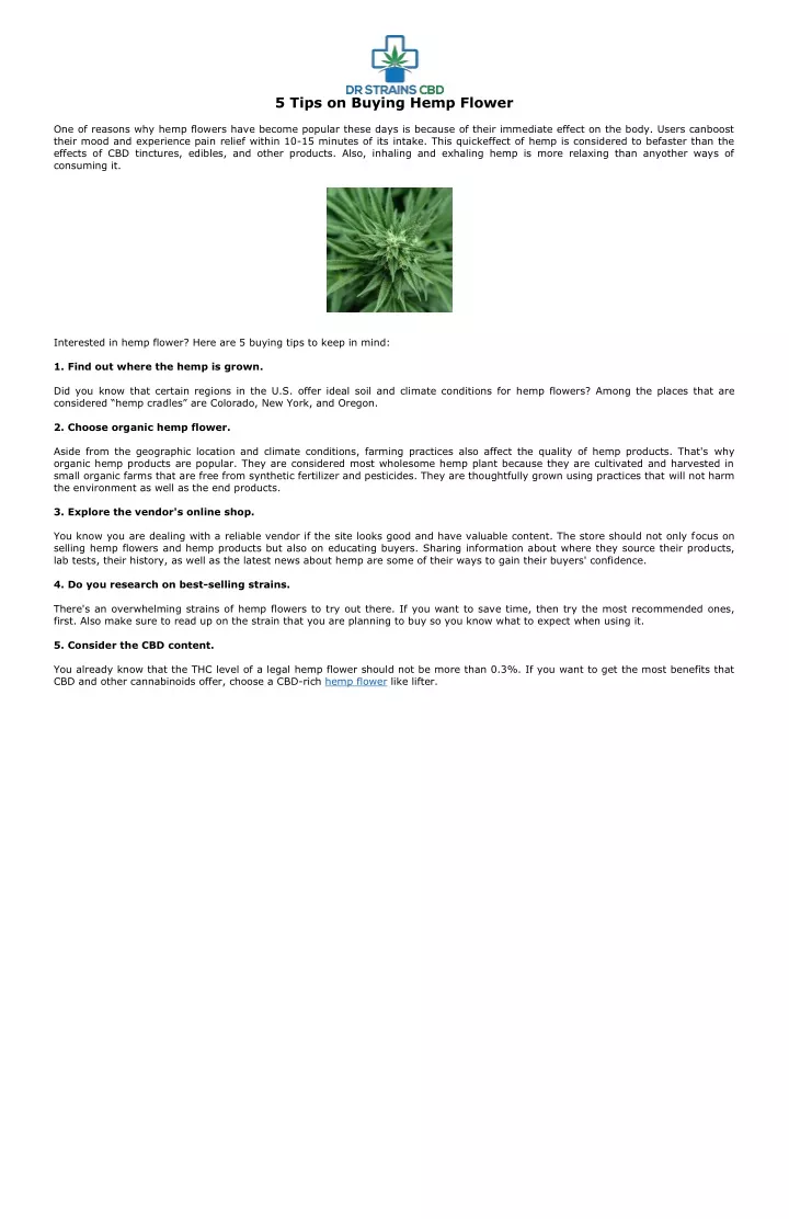 5 tips on buying hemp flower