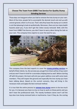 choose the team from gibbs tree service
