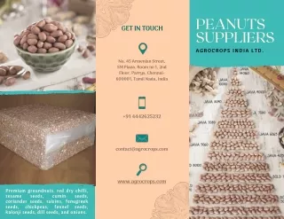 peanuts suppliers