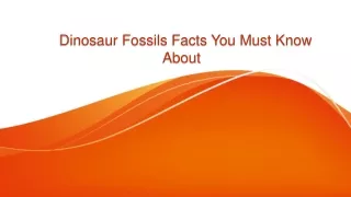 dinosaur fossils facts you must know about
