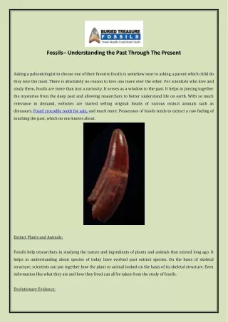 fossils understanding the past through the present
