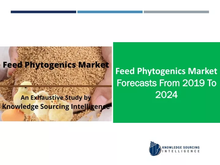 feed phytogenics market forecasts from 2019