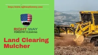 Land Clearing and Mulching