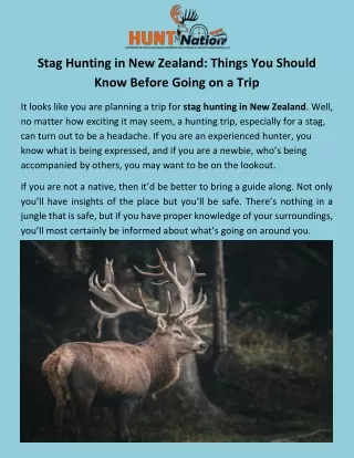 Things To About Stag Hunting In New Zealand | Hunt Nation
