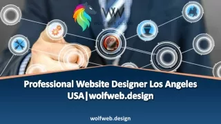 Professional  Website Designer Los Angeles USA |wolfweb.design
