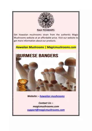 get hawaiian mushrooms strain from the authentic