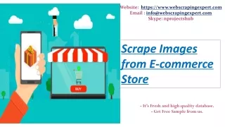 website https www webscrapingexpert com email
