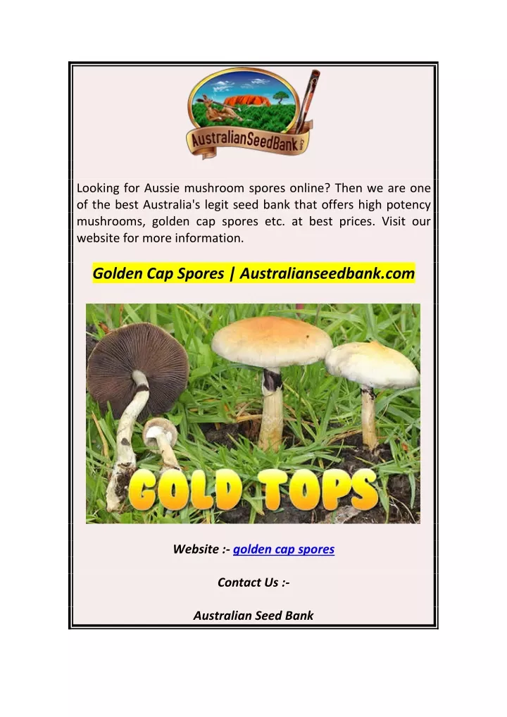 looking for aussie mushroom spores online then