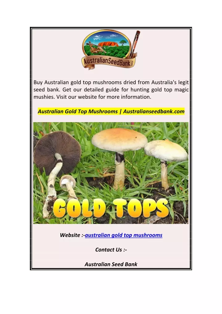 buy australian gold top mushrooms dried from