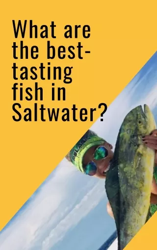 What Are The Best-Tasting Fish in Saltwater