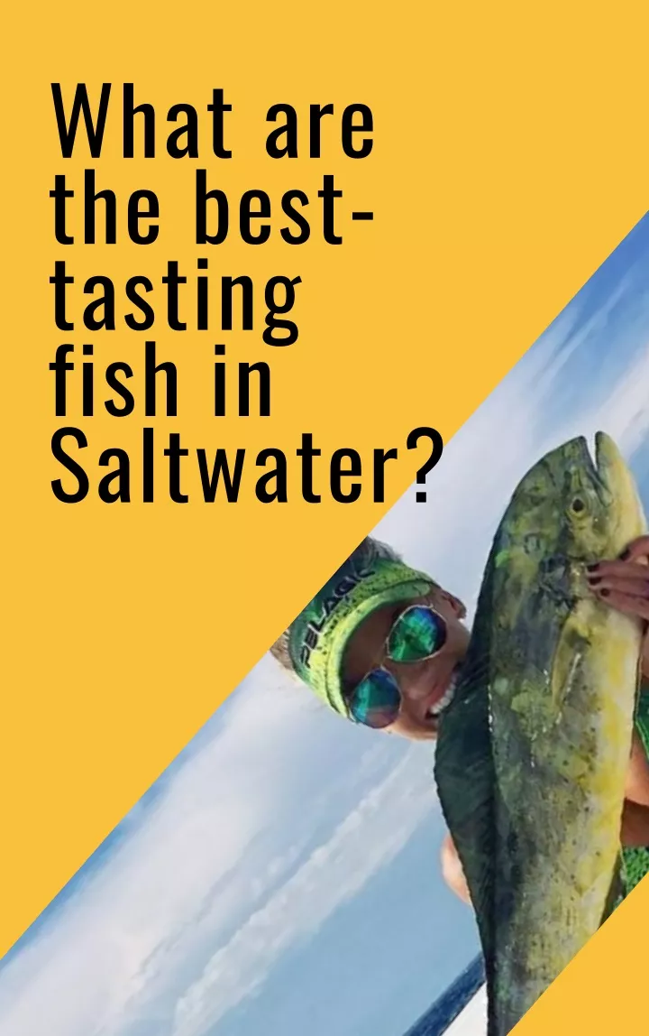 what are the best tasting fish in saltwater