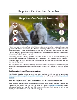 help your cat combat parasites help your