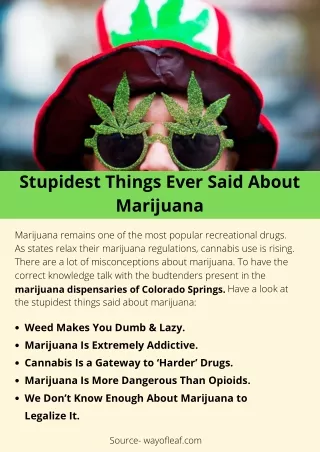 Stupidest Things Ever Said About Marijuana