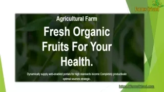 Best Farm Produce Seller Online in New Jersey