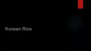 Korean Rice