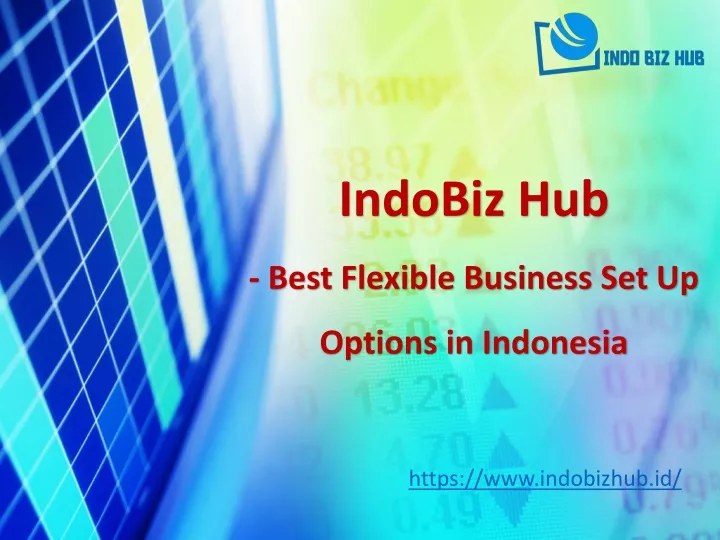 indobiz hub best flexible business set up options