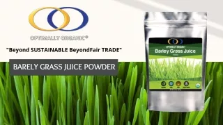 Barely Grass Juice Powder - Optimally Organic
