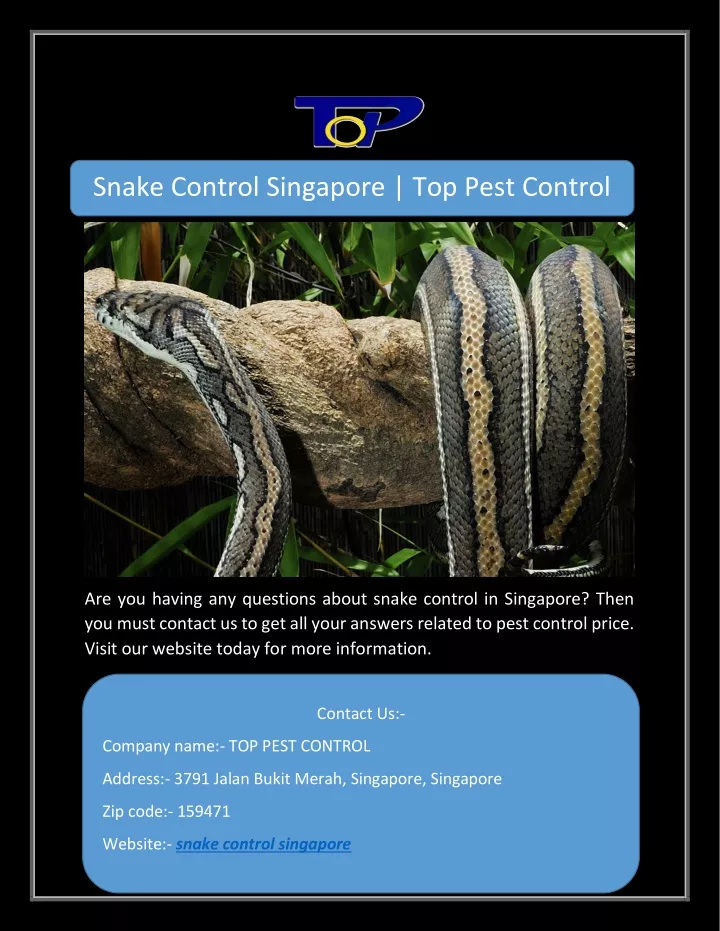 snake control singapore top pest control
