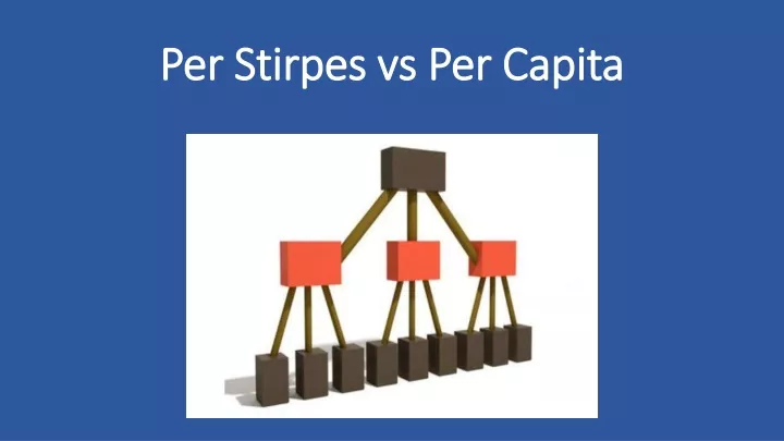 per stirpes vs per capita