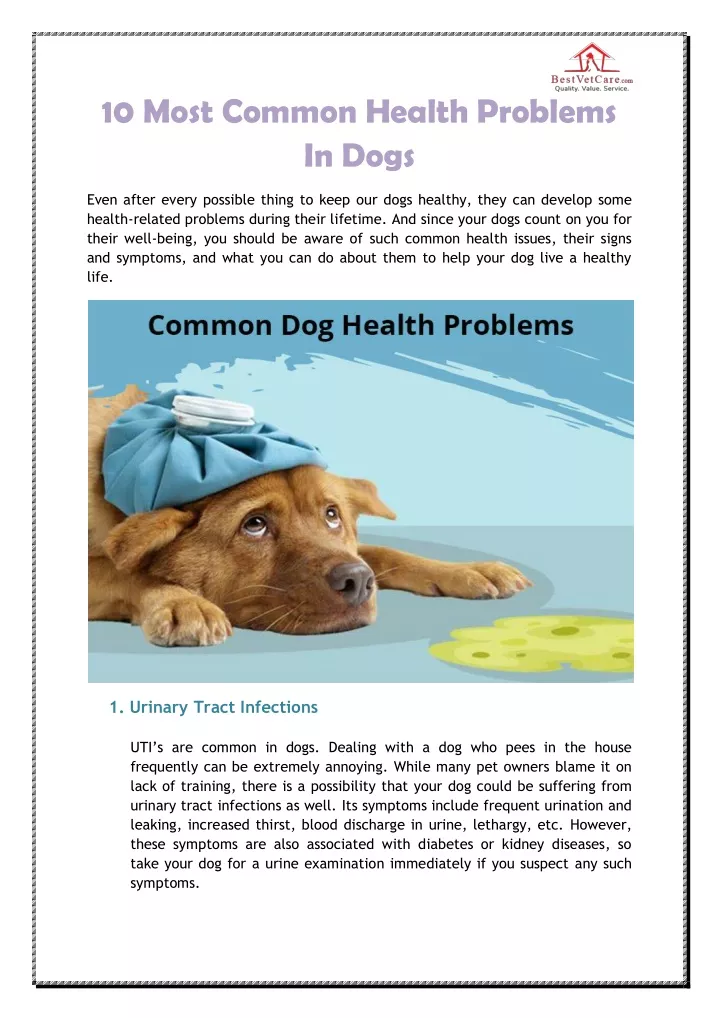 10 most common health problems in dogs