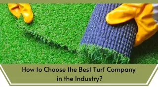 How to Choose the Best Turf Company in the Industry