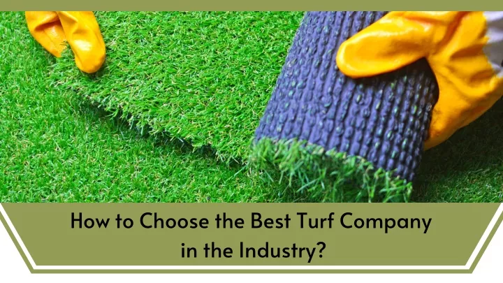 how to choose the best turf company