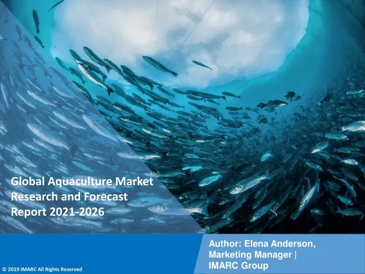 global aquaculture market research and forecast
