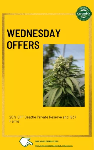 Wednesday Offer, Marijuana Store Near Me in Carson WA