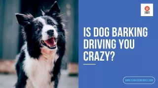 How To Stop Dogs From Barking