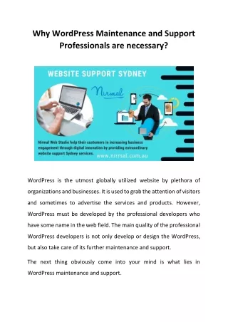 - Why WordPress Maintenance and Support Professionals are necessary