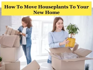 Full Guide to Pack and Move Your Houseplants
