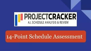 14-Point Schedule Assessment